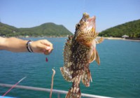 Fishing in Okinawa